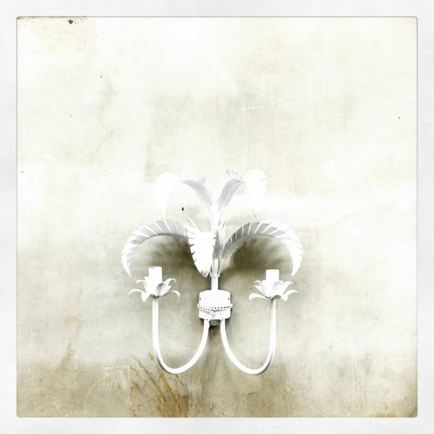 Palm Springs Leaf Wall Sconce Wall Light Gypset Cargo White