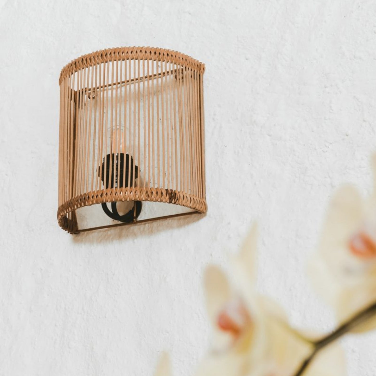 Tike Hau Natural Rattan Wall Sconce Wall Light Gypset Cargo