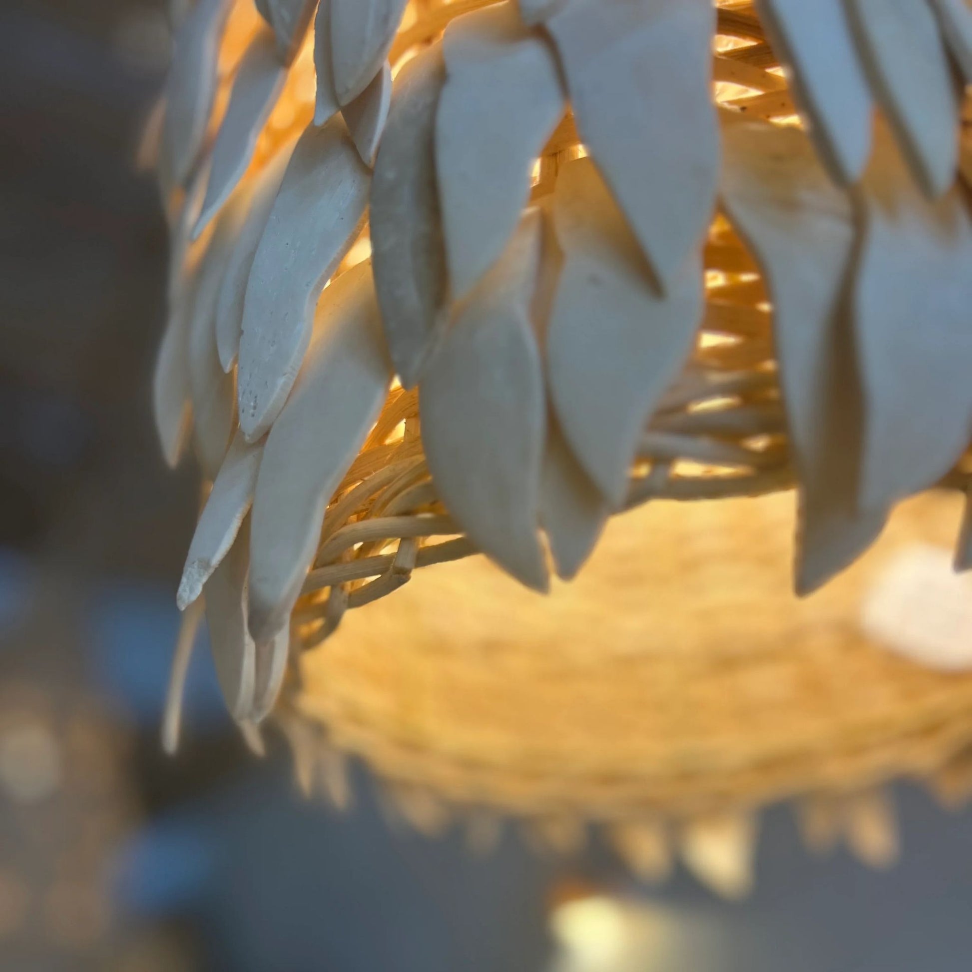 Zola Tall Coconut Pendant Light Pendant Light Bisque Interiors