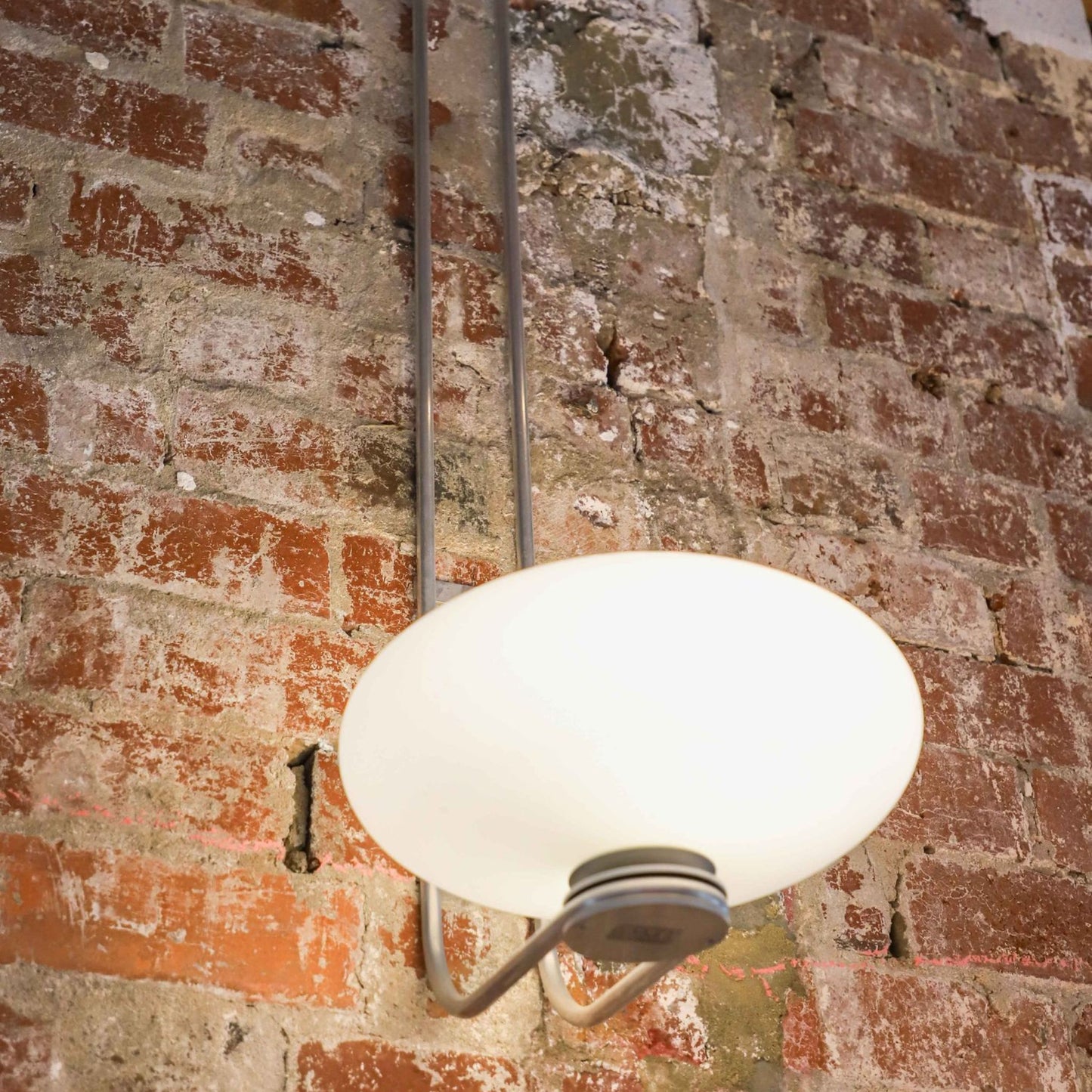 Astro Ellipse Ceiling Light Ceiling Flush Mount ILANEL