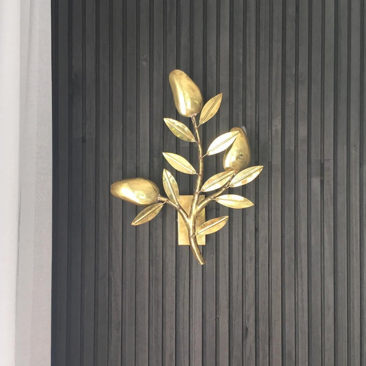 Mango Tree Brass Wall Sconce Wall Light Gypset Cargo
