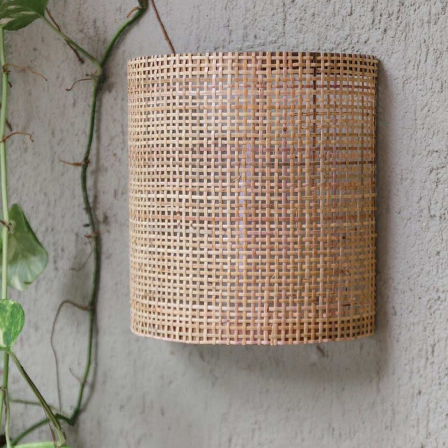 Marquesas Bagor Weave Wall Sconce Wall Light Gypset Cargo