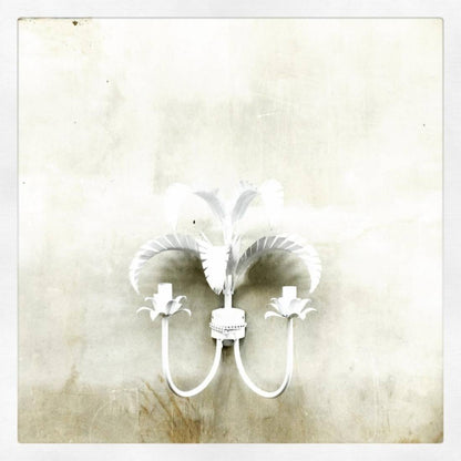 Palm Springs Leaf Wall Sconce Wall Light Gypset Cargo White