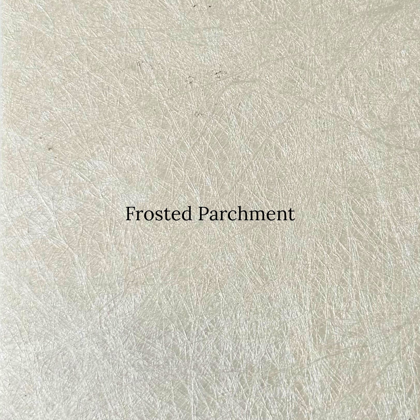 Crossover Metal Floor Lamp - Black Floor Lamp Bloomingdales Lighting Frosted Parchment