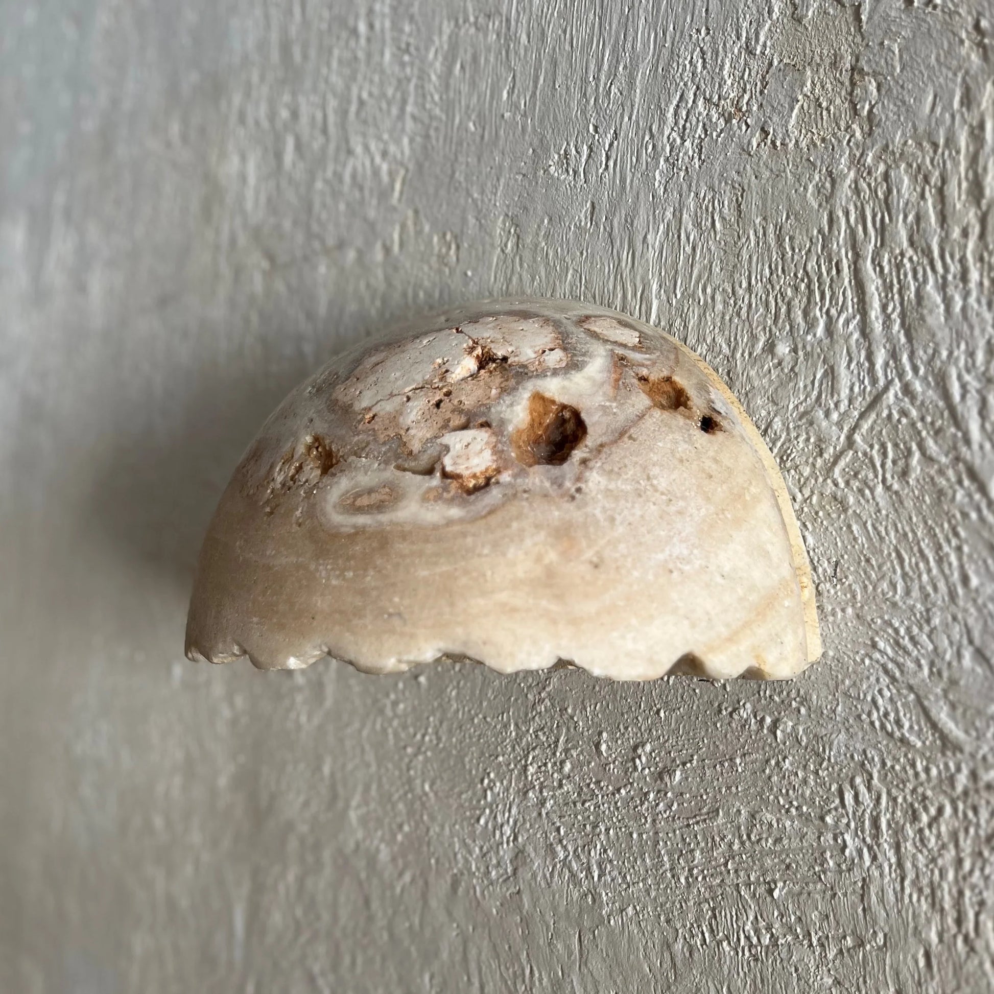 Jumbani Onyx Wall Sconce Wall Light Bisque Interiors