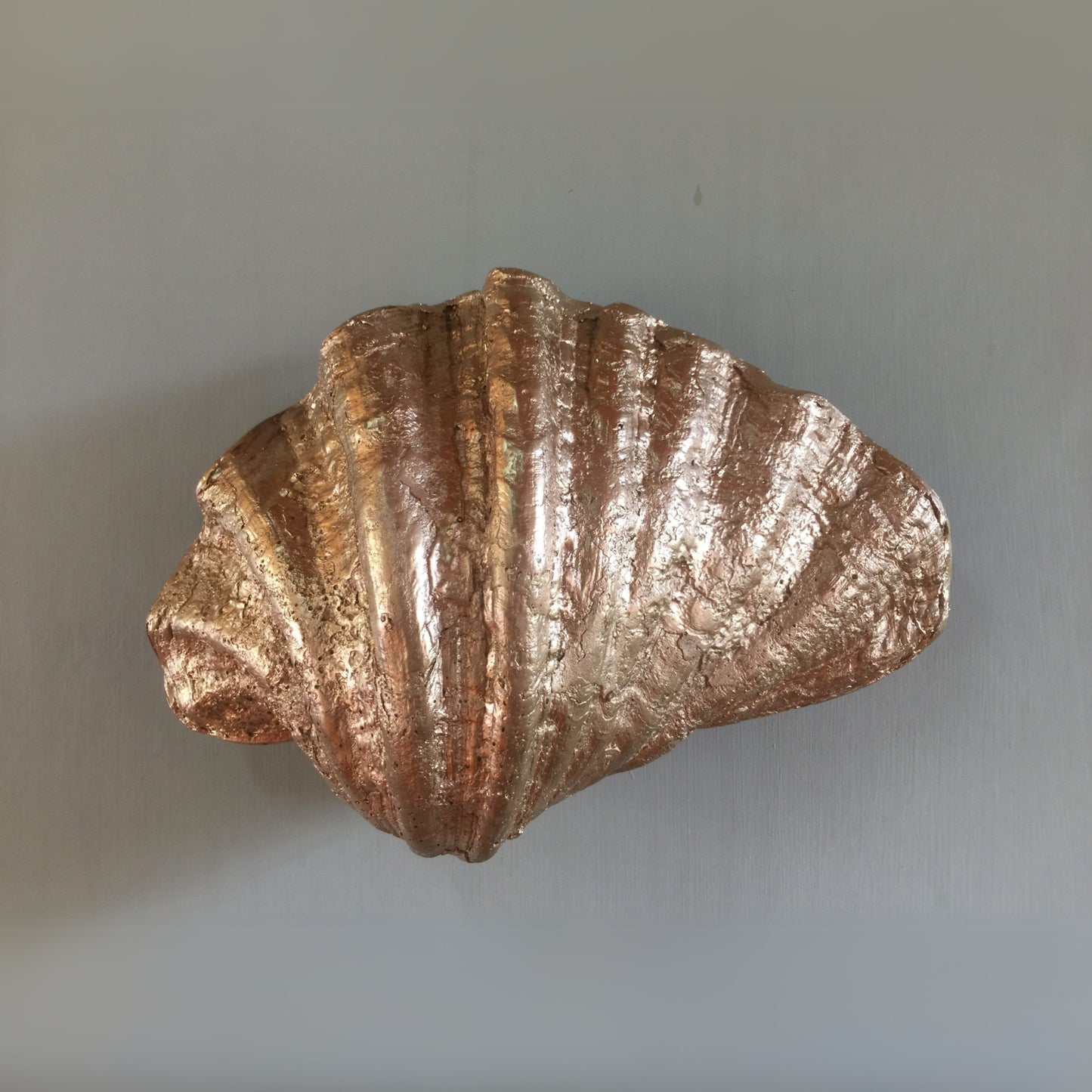 Fluted Shell Palm Beach Wall Sconce Wall Light Gypset Cargo Gold