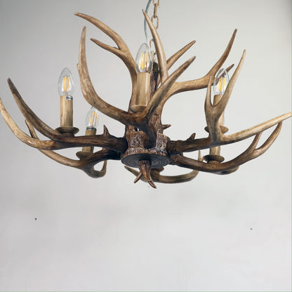 Oriel Hyort 6 Light Designer Pendant - KD Version Pendant Light Oriel Lighting   